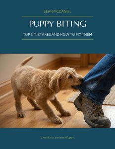 Cover of Puppy Biting: Top 3 Mistakes