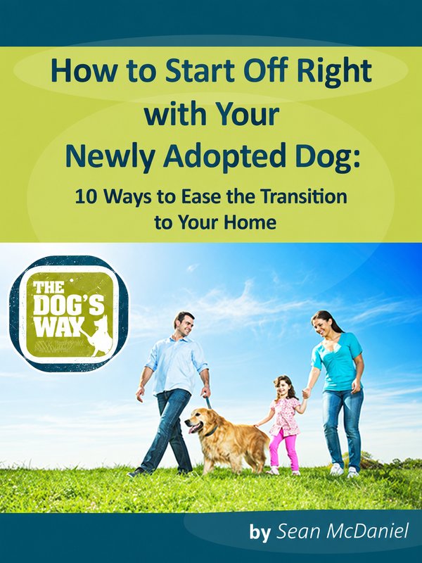 Cover of How to Start Off Right with Your Newly Adopted Dog